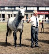 Coral Prince with Bobby Bolger at the RDS in 1993