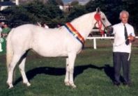 Coral Misty, Clifden Supreme 1995 and 1997 with Bobby Bolger