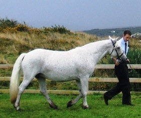 Independent with Cathal Mullen, Roundstone Show 08